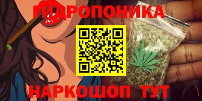 индика Будённовск