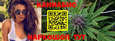 индика Будённовск