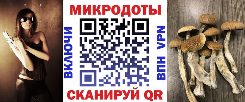 shop Telegram  Назарово  Галлюциногенные грибы GOLDEN TEACHER 