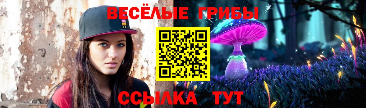 Галлюциногенные грибы Cubensis  Галлюциногенные грибы прущие грибы  купить  сайты  Назарово  Вход с VPN 